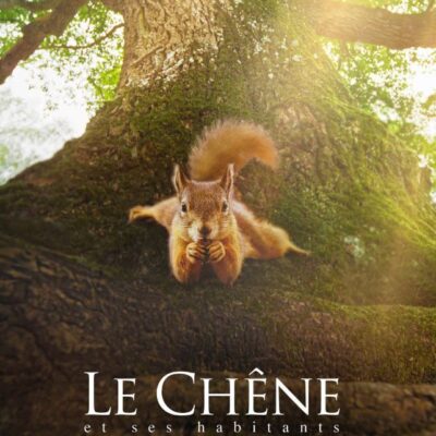 Pomeriggio cinema con il film “Le Chêne”